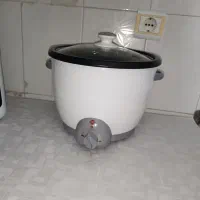 وسیله برقی نو