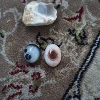 نگین سلیمانی و انگشتر
