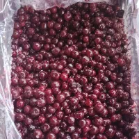 آلبالو فریز شده