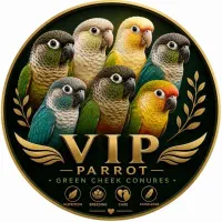 گرینچیک پاید.اسپلیت پاید