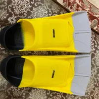 فین شنا