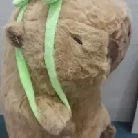 عروسک کاپی بارا