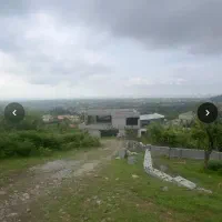 8قطعه200تا250متری-باسند-وپروانه