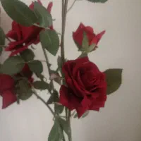 گل رز مصنوعی خارجی