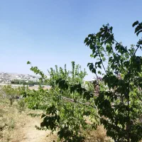 باغ  ۱۵۰۰ متری جاده وادان