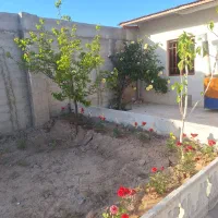 باغ و باغچه و ویلایی
