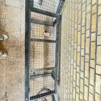 تخت فلزی