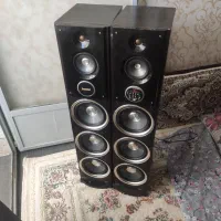 باندبزرگ مارک سناتوربلوتوس دار