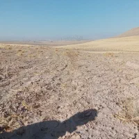 کاه دیم|لوازم جانبی حیوانات|مشهد, تبادکان|دیوار