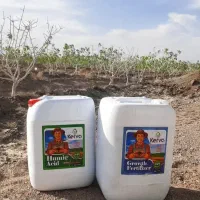هیومیک اسیدآبادان رفع زردی وریشه زایی شلتوک