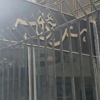 اشپز ماهر