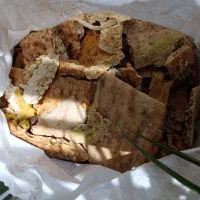 3کیسه نان خشک