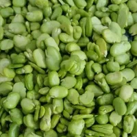 باقالی|خوردنی و آشامیدنی|تهران, یافت آباد جنوبی|دیوار