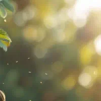 یه سیم کارت همراه اول