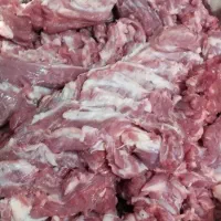 خورده توپوز گوسفندی