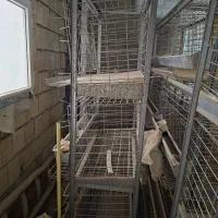 مرغتخمگذار قفس