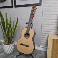 Edmundo CP - 7 Pro