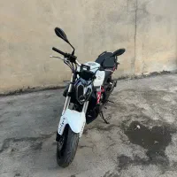بنلی جفت ۳۰۰ در حد