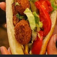 نیرو برای بساط فلافلی