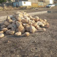 دو-قطعه-زمین-160متری-قره-بلاغ