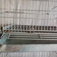 قفس 8خان اردشیرماده جداکن