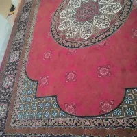 قالی ۱۲متری