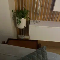 شمعدون س عددی