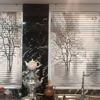 پرده سرای آراکس