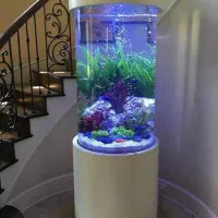 Aquarium