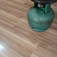 گاز پکنیک سالم