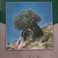 کتاب روانشناسی پرورشی نوین