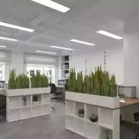 منشی مدیر عامل خانم