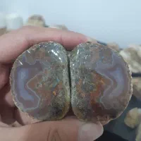 یک جفت شجر طرح خاص