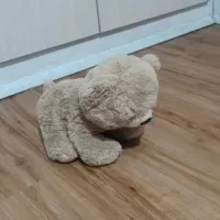 عروسک خرس بانمک
