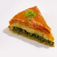 استخدام نیروی شستشو و نظافت