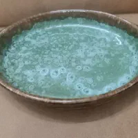 دیس نو داخل فر هم میشه گذاشت