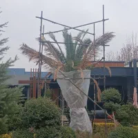 داربست فلزی سید