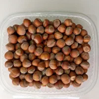 فندق دیلمان