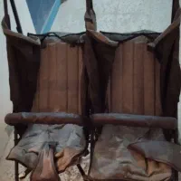 کالسکه دوقلو