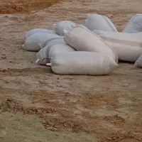 کاه بذری