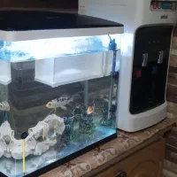 آکواریوم k500