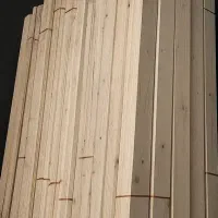 فروش چوب روسی رگال