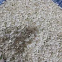 برنج محلی چمپه  کیلو ۴۰۰