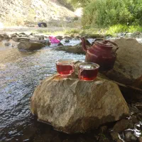 وسایلخوراکی ارزان