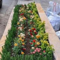 خدمات باغبانی باغچه کاری هرس کاری تعویض خاک گلدون