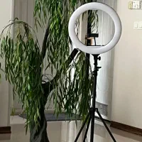رینگ لایت