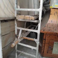 دارقالی
