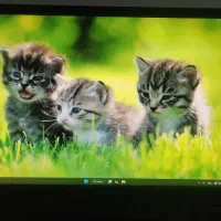 pc ( کامپیوتر)