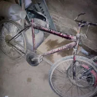 دوچرخه ۲۴
