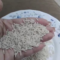 برنج هاشمی اعلا 460